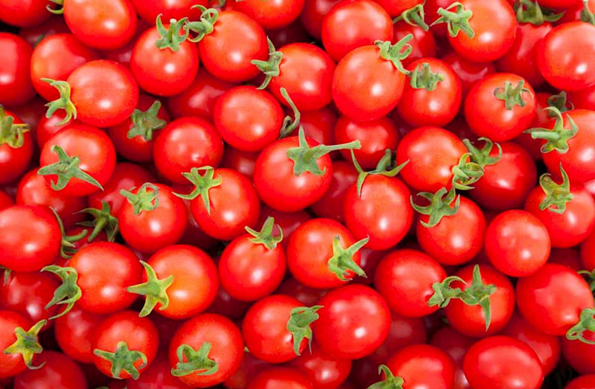 tomaty-cherri (2)