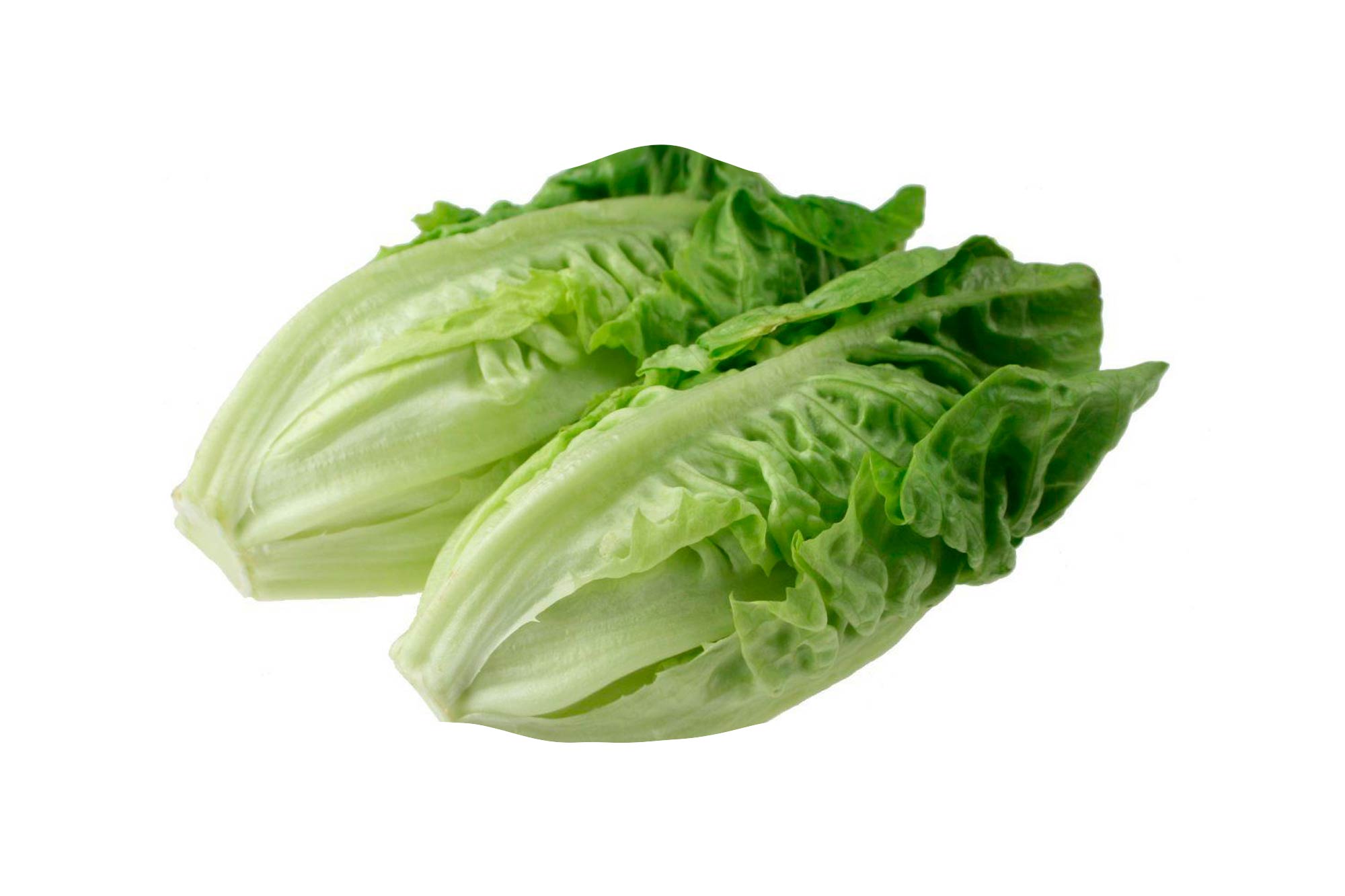 salat-romen (1)