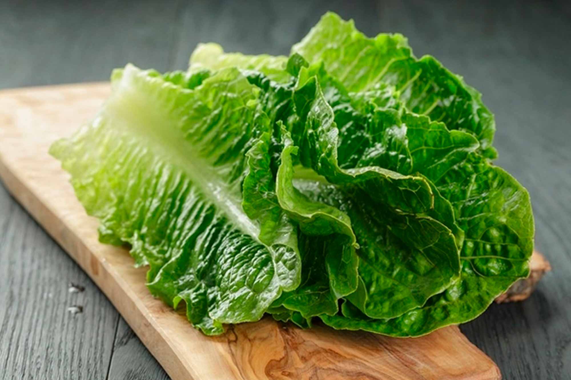 salat-romen (3)
