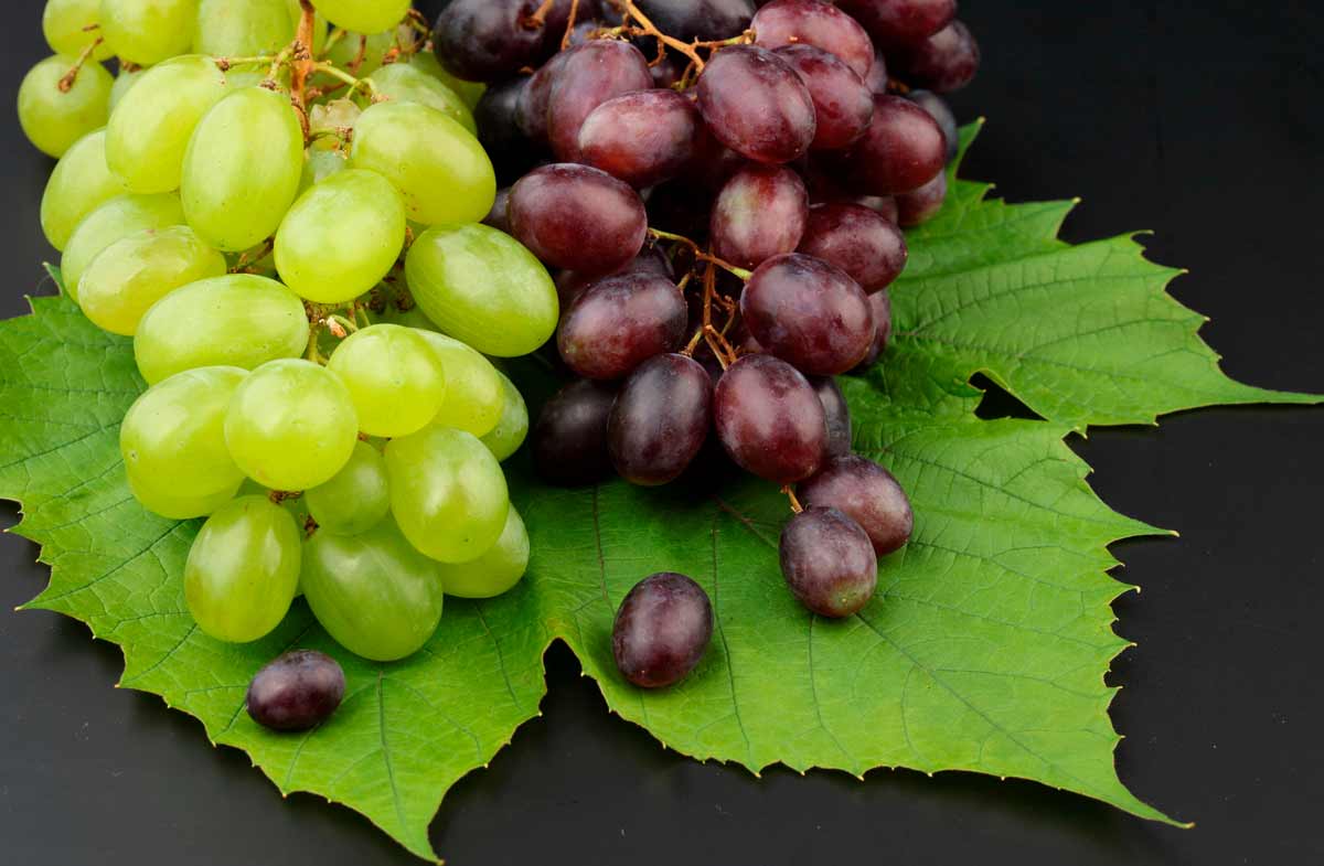 vinograd-iz-egipta-(1)
