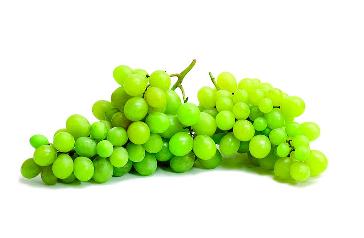 vinograd-iz-egipta-2
